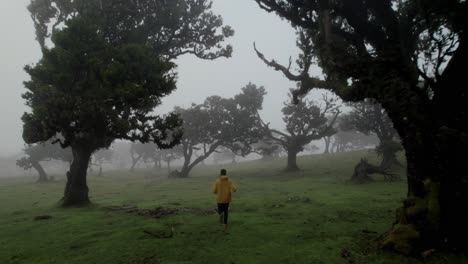 Man-running-in-yellow-jacket-at-Fanal-Forest,-Madeira-while-drone-following-him-through-the-fog-between-laurel-trees