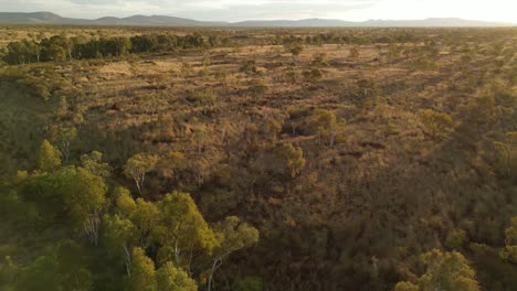 Green-Oasis-regreening-project-in-Australian-desert-during-sunset,-aerial-dynamic