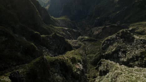 Drohne-Fliegt-über-Den-Fanalwald-Auf-Madeira,-Wo-Unter-Der-Drohne-Lorbeerbäume-Und-Nebliger-Nebel-Sichtbar-Sind
