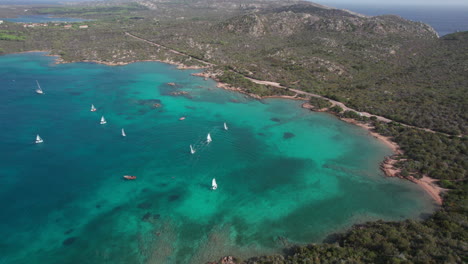 Orbital-aerial-view-of-sailboats-sailing-on-the-island-of-Caprera-in-Sardinia