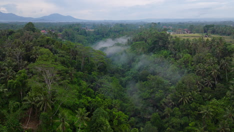 Haze-in-Ubud-rainforest,-Bali-in-Indonesia