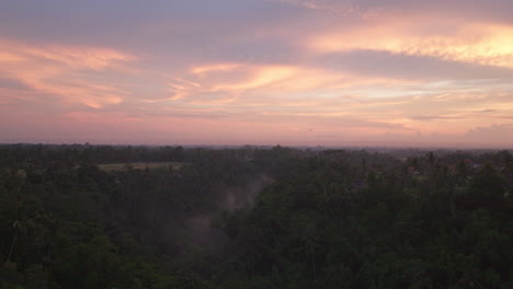Indonesian-jungle-at-sunset,-Bali-in-Indonesia