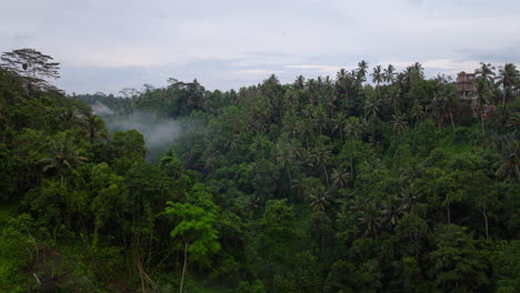 Luftdrohne-Vorwärts-über-Dem-Unberührten-Und-üppigen-Dschungel-Von-Ubud,-Bali-In-Indonesien