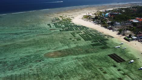 Seaweed-farm-rows-along-beaches-of-Nusa-Lembongan,-aerial-panoramic-overview