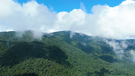 Immergrüner-Laubwald,-Sich-Bewegende-Weiße-Wolken,-Blauer-Himmel,-Berg--Und-Dschungelwalddrohne,-Fliegt-Hoch-Im-Blauen-Himmel-Durch-Flauschige-Wolken.-Panorama-Der-Wunderschönen-Grünen-Berglandschaft