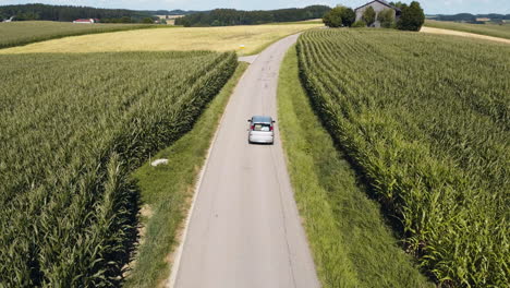 Car-riding-Country-road-amidst-Bavarian-crops,-Germany---aerial