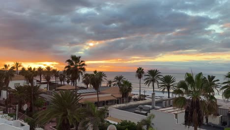 Tropische-Landschaft,-Palmen,-Goldene-Stunde,-Sonnenuntergang,-Auf,-Teneriffa,-Spanien