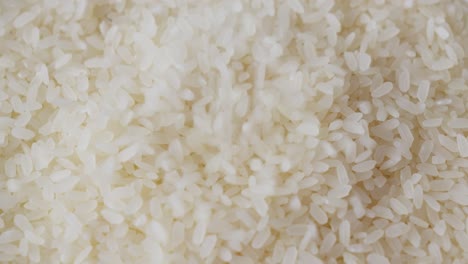 Grains-of-rice,-source-of-carbohydrates-and-provides-essential-nutrients