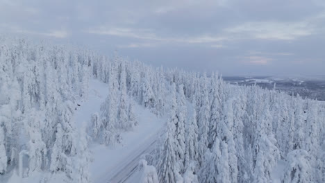 Aerial-view-rising-over-a-icy-road-in-middle-of-snow-covered-trees-of-Lapland