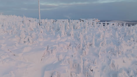 Luftaufnahme-Mit-Blick-Auf-Den-Sonnendurchfluteten,-Schneebedeckten-Wald-Auf-Dem-Iso-Syote-Fjäll,-Sonnenaufgang-In-Finnland
