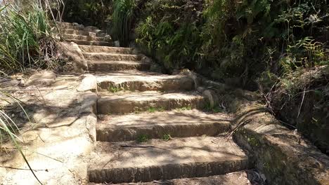 Handheld-view-walking-up-stone-steps-of-steep-hiking-trail-through-forest,-Blue-Mountains