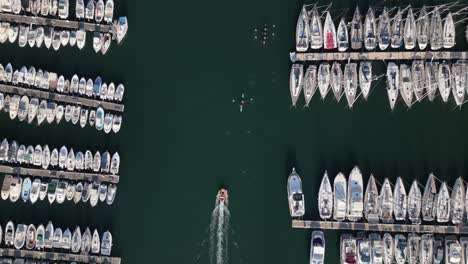 Birdseye-Aerial-View-of-Moored-Boats-and-Yachts-in-Marina,-Kayaks-in-Water-of-Mediterranean-Sea,-Marseille,-France