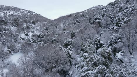 Un-Dron-Disparó-Sobre-Un-Bosque-Cubierto-De-Nieve-En-El-Monte-Hermón-Durante-El-Invierno-En-Israel