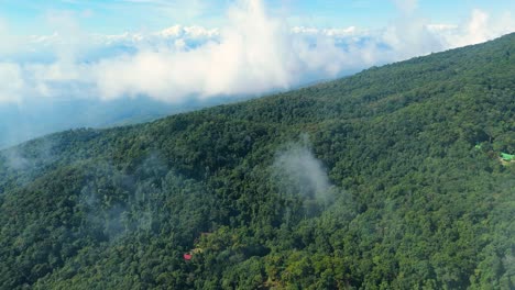 Immergrüner-Wald,-Laubwald,-Gemischter-Laub--Und-Immergrüner-Wald,-Sommerliche-Tropische-Grüne-Waldlandschaft,-Bedeckt-Mit-Wolken,-Wolkendurchflug,-Aufschlussreiche-Aufnahme,-Wolkendurchflug