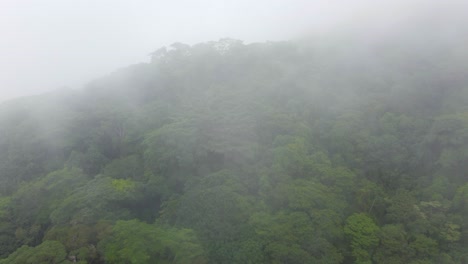Thick-fog-covers-tropical-rainforest-near-Minca-in-the-Sierra-Nevada-de-Santa-Marta-in-the-Andes-mountains,-Colombia