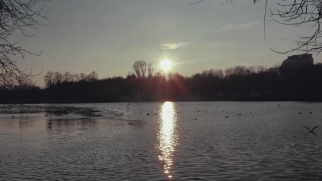Statische-Aufnahme-Eines-Sees-Mit-Vögeln-Darauf-Bei-Sonnenuntergang