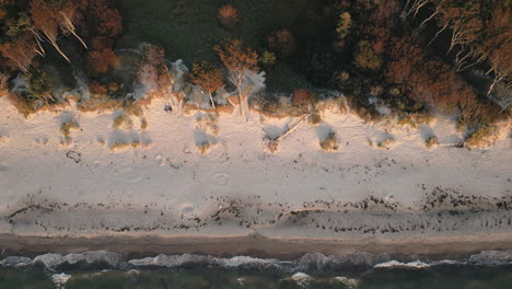 Drone-aerial-bird's-eye-view-of-sandy-beach-waves-crashing-on-shoreline-with-forest-Baltic-Sea-travel-tourism-holiday-nature-Europe
