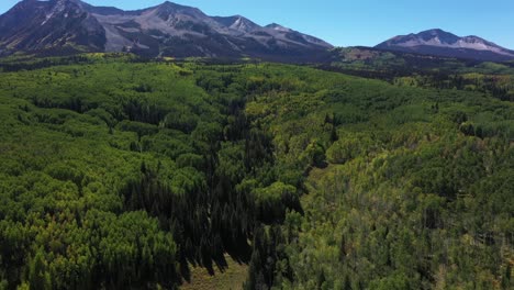 Aerial-view-of-bright-green-tree-covered-hills-leading-up-to-mountain-peaks-in-the-distance-near-Crested-Butte-Colordao