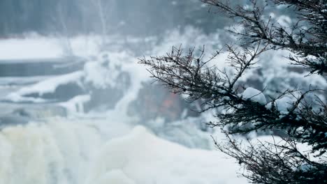 Blurred-background-evergreen-tree-branch-Tourism-Travel-Landmark-frozen-winter-Pisew-Kwasitchewan-Falls-Waterfall-Provincial-Park-near-Thompson-Manitoba-Northern-Arctic-Canada-Landscape