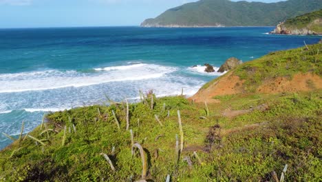 Cactuses,-green-hills-and-turquoise-sea-at-Tayrona-Park-in-Colombia