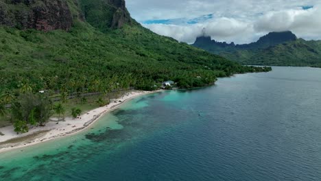 Pintoresca-Bahía-De-Opunohu-En-La-Isla-De-Moorea,-Polinesia-Francesa---Toma-Aérea-De-Drones