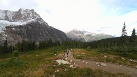 Lone-woman-nordic-walking-on-valley-trail-in-Jasper-National-Park