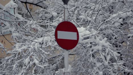 Center-static-shot-of-a-red-do-not-enter-or-forbidden-traffic-sign-with-a-background-of-snow-covered-tree-sprigs