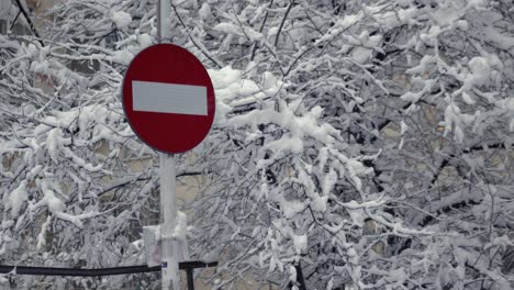 Up-and-left-position-static-shot-of-a-red-do-not-enter-or-forbidden-traffic-sign-with-a-background-of-snow-covered-tree-sprigs