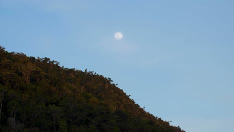 Luna-Llena-Durante-El-Día-Sobre-Los-árboles-De-La-Selva-Tropical-En-Una-Remota-Isla-Tropical-En-Raja-Ampat,-Papúa-Occidental,-Indonesia