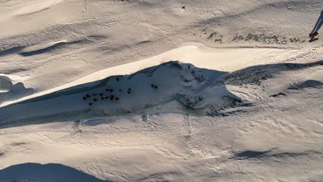 Luftaufnahme-Von-Menschen,-Die-In-Der-Abenddämmerung-Auf-Dem-Sólheimajökull-Gletscher-In-Island-Wandern