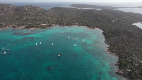 Cinematic-aerial-view-of-beautiful-sailboats-sailing-over-the-sea-of-​​the-island-of-Caprera-in-Sardinia