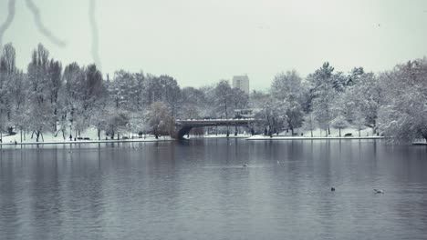 Wide-angle-static-shot-of-an-urban-landscape-with-a-lake-in-a-park,-buildings-and-a-bridge-with-traffic-on-it-during-winter-with-snow