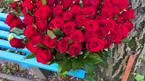 Beautiful-101-red-roses-bouquet-on-a-bench,-definition-and-meaning-of-true-love,-romantic-flowers,-Valentine's-day-gift,-showing-feelings,-4K-shot