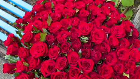 Hermoso-Ramo-De-101-Rosas-Rojas,-Definición-Y-Significado-Del-Amor-Verdadero,-Flores-Románticas,-Regalo-De-San-Valentín,-Muestra-De-Sentimientos,-Toma-De-4k