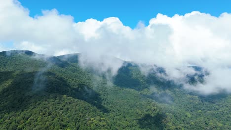 Green-Mountains-Dense-Forest-Covered-in-Clouds,-Flying-through-the-Clouds,-Nature-Habitat-Ecosystem-Forest-Carbon-Dioxide,-Wild-Nature-Above-the-Clouds-Mixed-Deciduous-Evergreen-Forest
