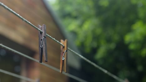 Wooden-pegs-hang-on-clothesline-after-rain