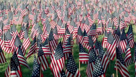 Thousands-of-American-flags-fluttering-in-the-wind-on-anniversary-of-September-11