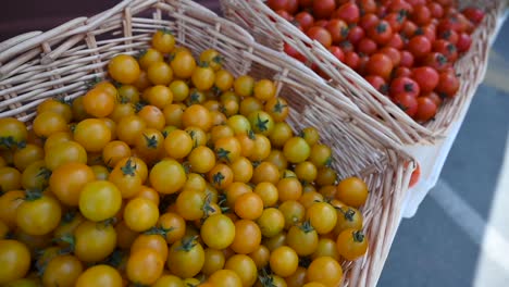 Tomates-Alegres-Cultivados-Localmente-Se-Exhiben-Y-Se-Ofrecen-A-La-Venta-Durante-El-Festival-Agrícola-En-Los-Emiratos-Árabes-Unidos.