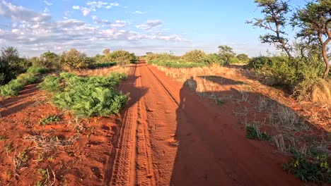 A-time-warp-of-a-safari-vehicle-and-its-shadow-driving-through-the-bushveld-of-the-Southern-Kalahari,-a-lush-savannah-landscape-passes-by