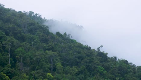 Nubes-Espesas,-Niebla-Y-Niebla-Persisten-Sobre-El-Dosel-De-Los-árboles-De-Una-Densa-Selva-Tropical-En-El-Desierto-Al-Aire-Libre-En-Una-Remota-Isla-Tropical-En-Raja-Ampat,-Papua-Occidental,-Indonesia