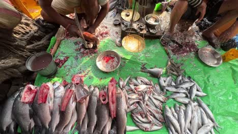 Top-shot-of-a-fish-monger-cutting-fish-and-selling-it-to-customer-by-weighing-it-in-a-roadside-stall-in-Kolkata,-India