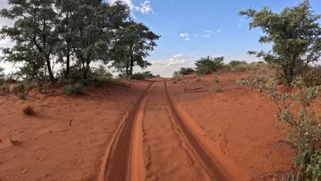 A-time-warp-of-a-safari-vehicle-driving-through-the-beautiful-bushveld-of-the-Southern-Kalahari,-a-lush-savannah-landscape-passes-by-as-the-vehicle-drives-onto-a-sandy-dune