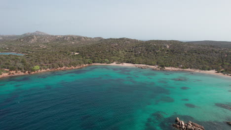 Aerial-view-in-orbit-over-one-of-the-beautiful-beaches-of-the-island-of-Caprera-on-the-island-of-Sardinia
