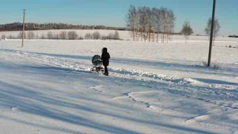 Female-in-dark-jacket-push-baby-carriage-on-snowy-countryside-road,-sunny-winter