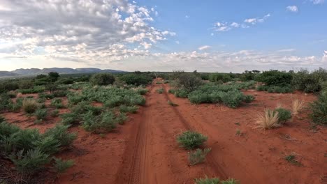A-time-warp-of-a-safari-vehicle-driving-through-the-beautiful-bushveld-of-the-Southern-Kalahari,-a-lush-savannah-landscape-passes-by-as-we-move-forward