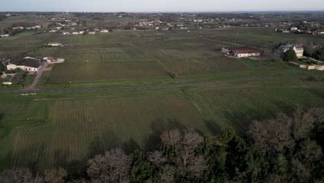 Verdant-Vineyard-Rows-by-Bayon-sur-Gironde,-France---aerial