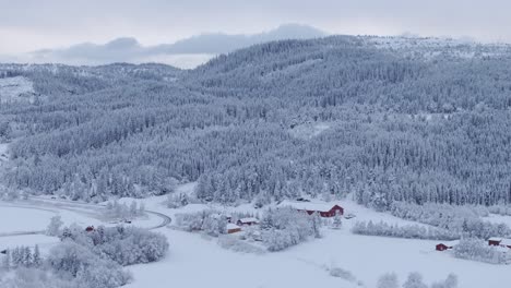 Riesige-Schneewaldbäume-Im-Dorf-Auf-Dem-Land-Während-Der-Wintersaison