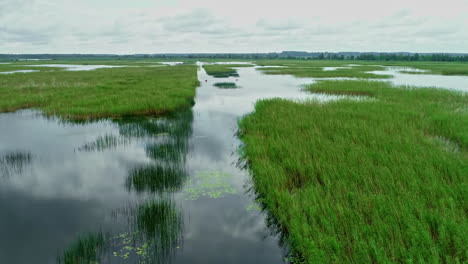 Drone-fly-low-above-delta-islands-green-grasses-clouds-reflected-in-calm-waters