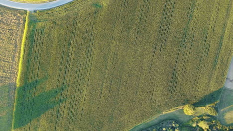 Aerial-view-of-vibrant-crop-fields-in-Bavaria,-Germany