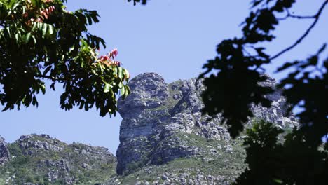 Felsiges-Gelände-Des-Tafelbergs-Hinter-Bäumen-An-Einem-Windigen-Tag-In-Kapstadt,-Südafrika